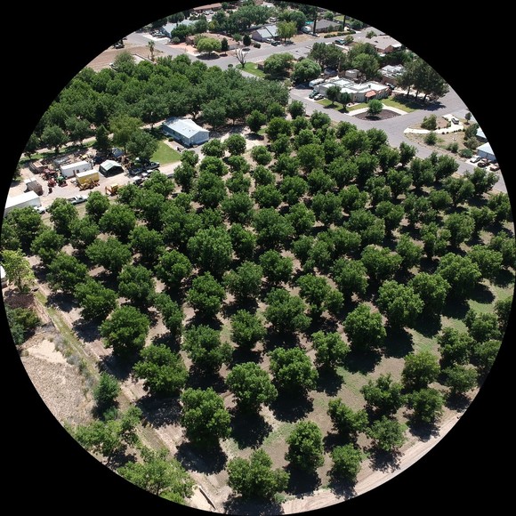 Meet your Posher, Sparkles - Picture 1 of 1